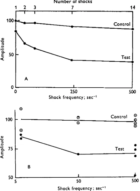 Fig. 6. A. Effect of shock frequency and number at fixedthe effect is equivalent to a single shock (no summation)