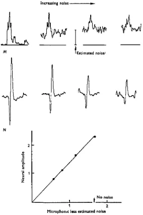 Fig. 3. Microphonic and neural responses from an anaesthetized animal; effects of acousticnoise-masking