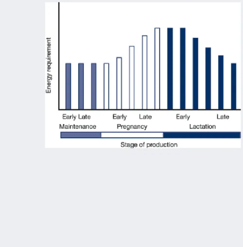 Table 1. Metabolisable energy requirements (MJ/day) of cattle for  maintenance and growth