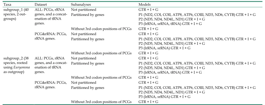 Table 2. Summary of datasets used to perform phylogenetic analyses. 