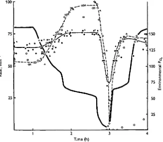 Fig. 4. The effect of hypoxia at 10 °C upon heart rate (solid line, solid figures) and breathingrate (dotted line, open figures) of rainbow trout 8 days after hatching
