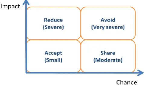 Figure 12: Risk management strategies  