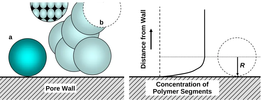 Figure 1. 1. Illustration of the concept of excluded volume.  Left: Dissolved polymers 