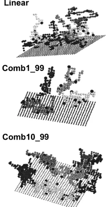 FIG. 8. Representative snapshots for linear polymers �top�, comb polymerswith one-segment-long side chains �middle�, or comb polymers with ten-segment-long side chains �bottom� adsorbed on a solid surface using theﬁnite-concentration lattice model