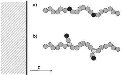 FIG. 1. Schematic representation of one linear polymer �a� and one combpolymer �b�. The black segments interact with each other and with thesurface via attractive square-well potentials �Eqs