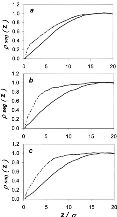 FIG. 3. Segment-density proﬁles for linear polymers �dotted linea�, comb polymerswith ﬁve-segment-long side chains �b�, and comb polymers with eight-segment-long side chains �c� near an attractive surface