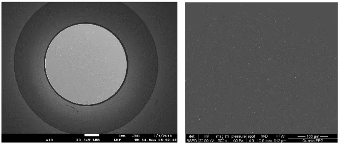 Figure 2. SEM images of a carbon planchet covered with IRMM-2329P particles. The picture on the left shows the full  glass-like carbon planchet (magnification x10)