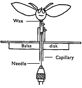 Fig. 1. The yaw apparatus.