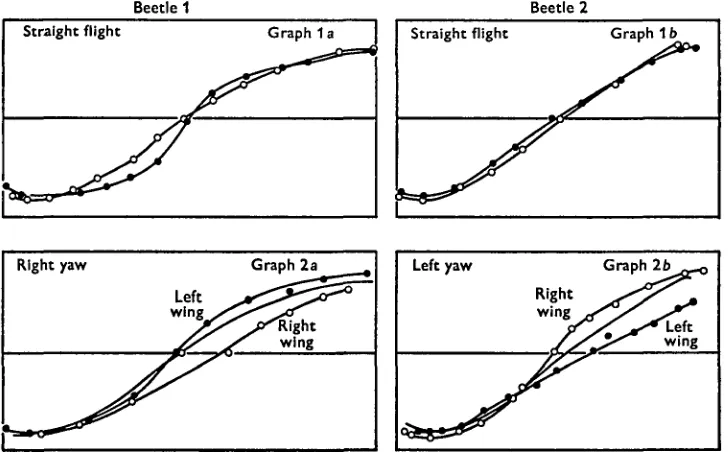 Fig. 2. Comparisons of the amplitudes of the wing strokes of three beetles, in straight flight and in yaw.