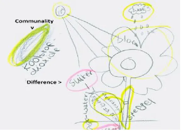 FIGURE 2.3 Drawing of the process of photosynthesis by a positive working preference dyad in the scripted 