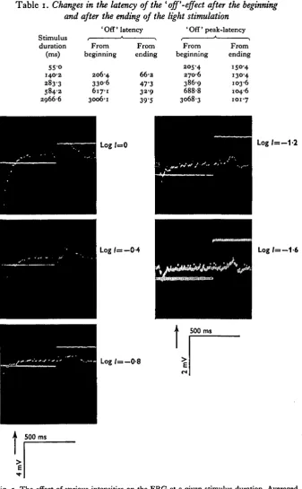Fig. 5. Theresponses effect of various intensities on the ERG at a given stimulus duration