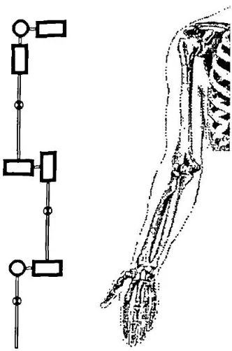 Figure 22: Technical representation of the arm 