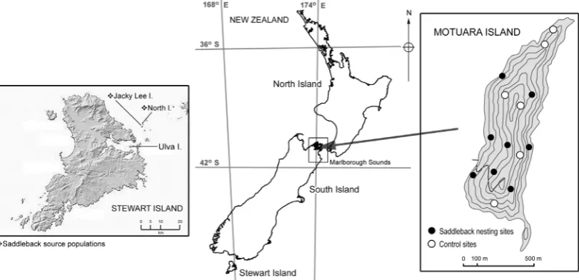 Figure 1. Map of Motuara Island, within Marlborough Sounds (South Island, New Zealand), showing sampled sites used in the study and its saddleback source populations, off Stewart Island.