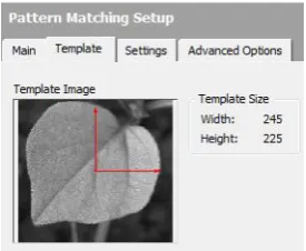 Figure 8 : Weed Plant Leaf Image Pattern 