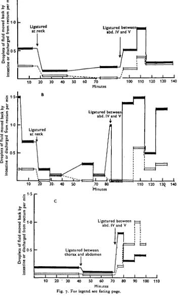 Fig. 7. For legend see facing page.