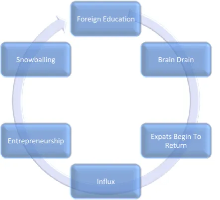 Figure 1: Brain Circulation Figure 4: Brain Circulation 