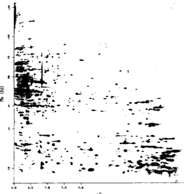 Figure 1. Sample outputfrom 2-