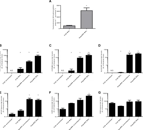 Figure 9. Xenobiotic metabolism. Comparison of HepaRG and C3A cultures in monolayers and BALs for (A) CYP3A4 activity and transcript levels of genes encoding (B-C) enzymes related to xenobiotic metabolism (D-E) basolateral transporter proteins, and (F-G) n