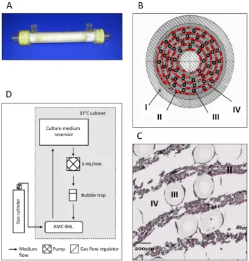 Figure 1. AMC-BAL Culture. (A) AMC-BAL cartridge. (B-C) Schematic cross-section and detail of a HE-staining of a paraffin embedded HepaRG-AMC BAL