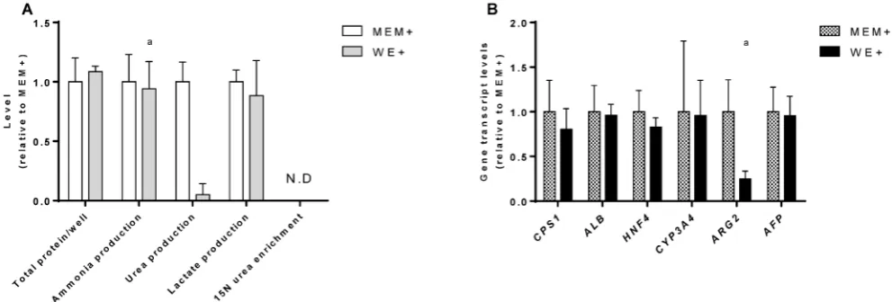 Figure 2. C3A culture medium selection. Comparison of C3A cells in monolayers cultured in MEM+ or WE+ medium for 7 days