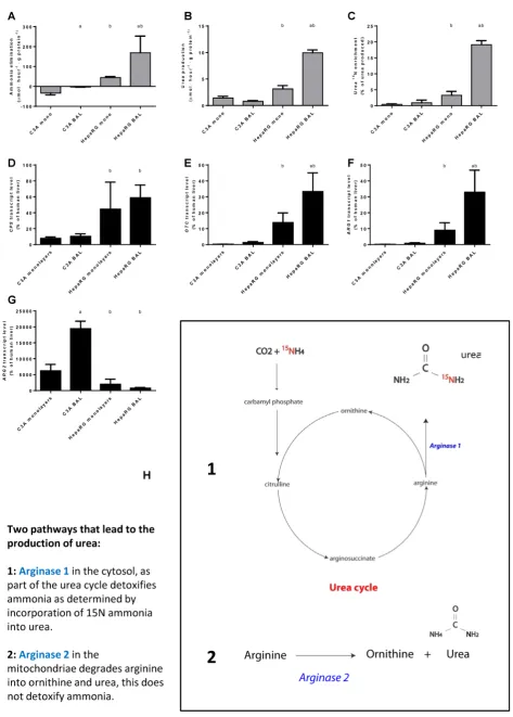 Figure 5. Nitrogen metabolism. Comparison of HepaRG and C3A cultures in monolayers and BALs for (A-C) functional parameters and (D-G) gene transcript levels