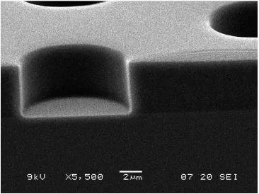 Figure 5.2 Cross section of vertical SU 8 structure 