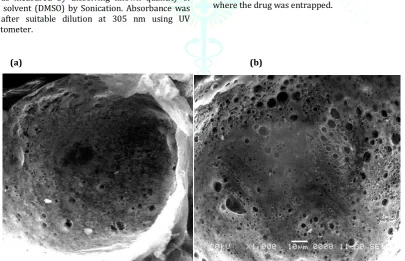 Figure 8.6 (a) Scanning electron microphotographs of   final formulation. 