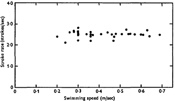 Fig. 7. Stroke rate of duck's feet at various swimming speeds. A linear least squaresregression line for the data has the equation: Strokes/sec = 2-44 + (i -i4X io~*xswimmingspeed, m/sec).