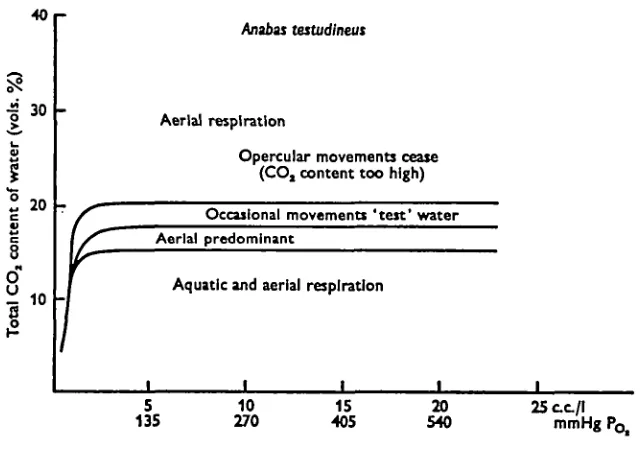 Fig. 7. Diagram summarizing the effect of different concentrations of carbon dioxide andoxygen in water on the mode of respiration shown by Anabat Ustudineus.
