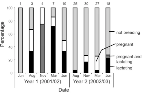 Figure 3. Breeding status of adult (tooth during  the  diet  study  (June  2001–June wear class > 2) female ship rats at Waihaha 2003)