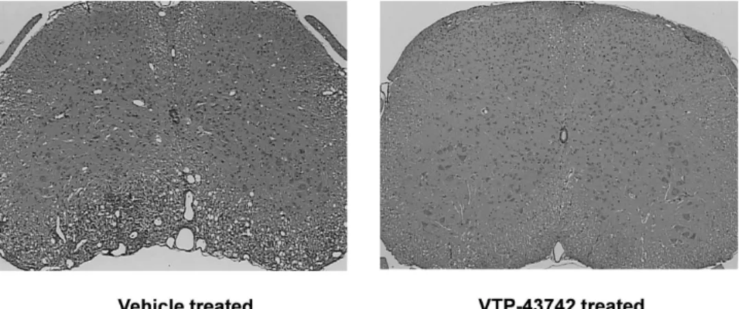 Figure 12: VTP-43742 reduces histologic abnormalities, indicative of loss of myelin sheaths around the nerve