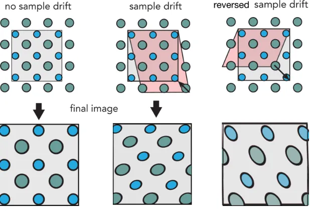 Figure 2.10: Schematic illustrating the eﬀects of sample drift on STEM images.