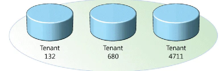 Figure 6 Single-tenant architecture: a separate database for each tenant (Chong & Carraro, 2006) 
