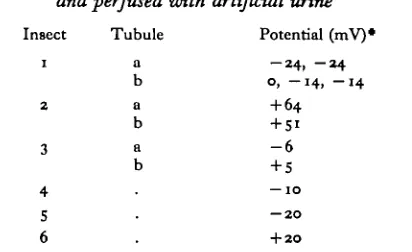 Table 9. The trans-wall potential in a number of tubules bathedin and perfused with identical salines