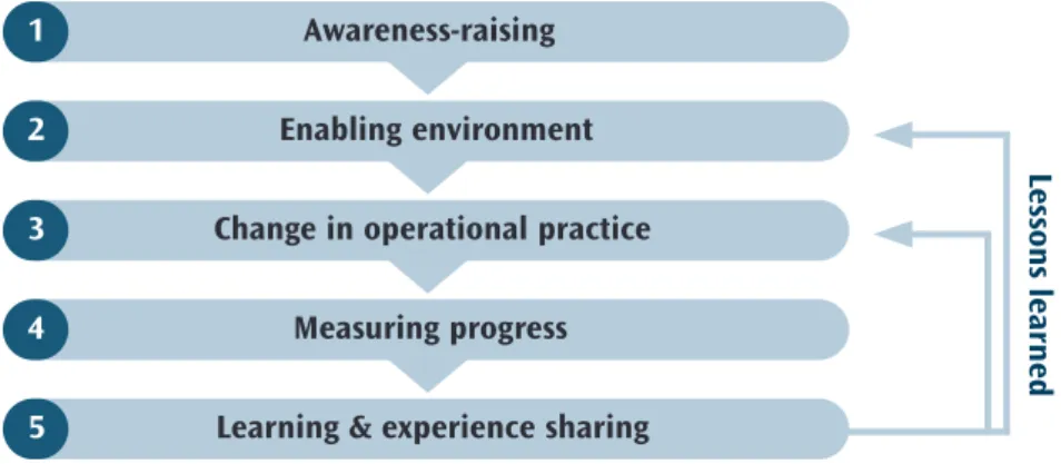 Figure 1 Steps to mainstreaming