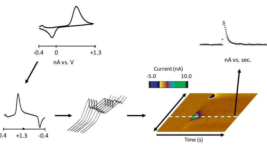 Figure 1.3 - Flow chart illustrating the color plot.  Background-subtracted voltammograms are unfolded and concatenated, and then currents are assigned a false color