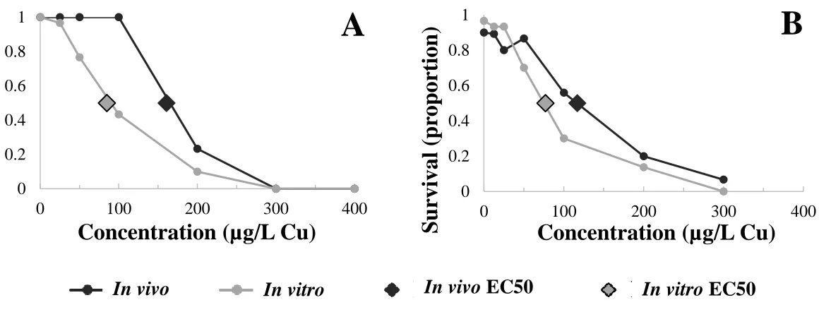 Figure 1: Representative survival responses of in vitro and in vivo juveniles. Panel A: Lampsilis cardium to copper, where median effective concentrations (EC50s) between in vivo and in vitro juveniles were significantly different