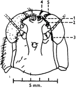Fig. 4Fig. S