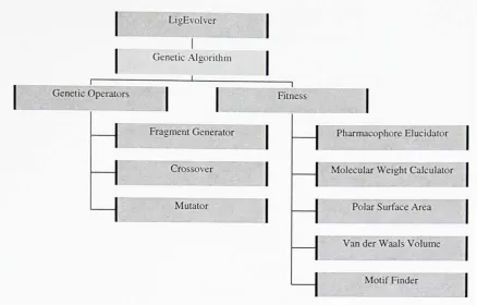 Figure 2.6.1 Components of LigEvolver
