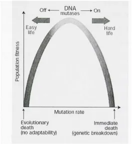 Figure 2.6.1.1.3 Mutation rates and genetic adaptability [5]