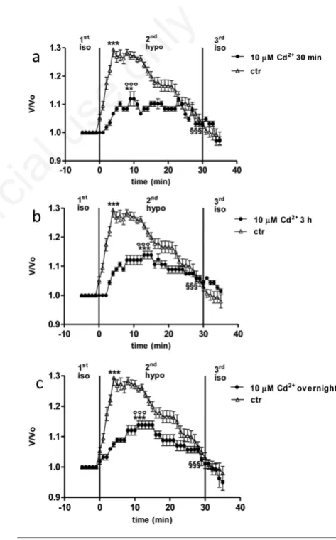 Figure 2. Relative volume (V/V0motic shock after treatment with 1 ) of cells exposed to 15% hypos-µM Cd2+ for 30 min (a), 3 h(b), or overnight (c)