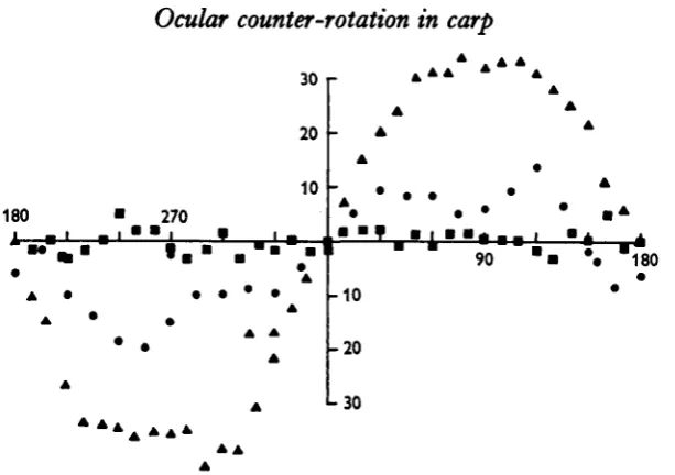 Fig. 8. Effect on ocular counter-rotation of blinding normal and labyrinthectomized fish.Triangles, normal fish; filled circles, same fish after blinding both eyes; squares, another