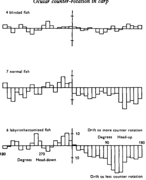 Fig. io. Histograms of the difference between the first and last readings of right-eye positionin groups of blinded, labyrinthectomized and normal fish plotted against body position