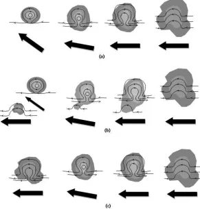 Figure 1.1: Idealized schematic illustrating the (a) Type A, (b) Type B, and (c) Type C wavefates after TC genesis