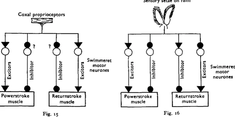 Fig. 15  15. Diagram