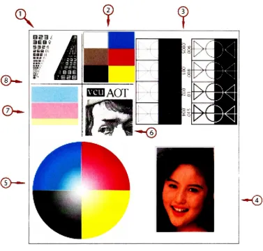 Figure 1: Marking Engine Characterization Target