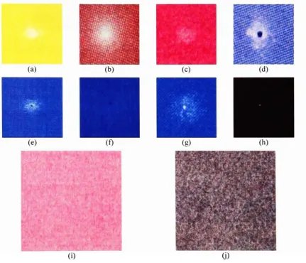 Figure 2.1 Defects of interest: (a)-(c) Deletion, (d)-(f) Debris Centered Deletion (DCD), (g)-(h)Debris-missing DCD, and (i)-(j) Mottle.