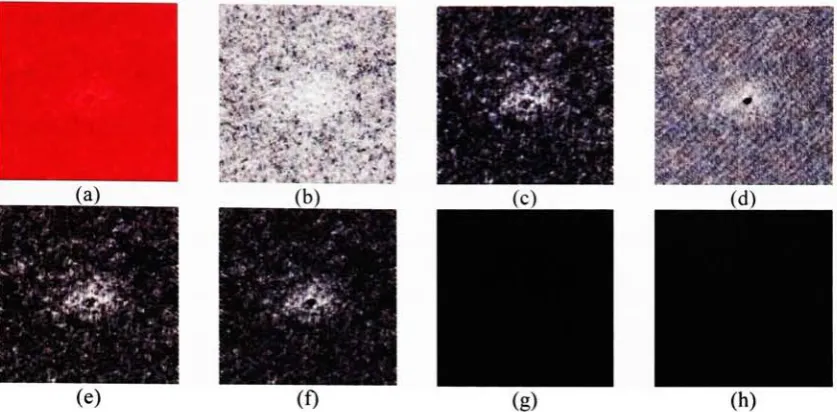 Figure 3.3 Comparison of PCs with alternative grayscale method: (a) Original DCD image with"invisible" debris, (b)-(d) corresponding R, G, and B channels respectively, (e) MATLABrgb2gray procedure, (f)1st PC, (g)2nd PC and (h)3rd PC.