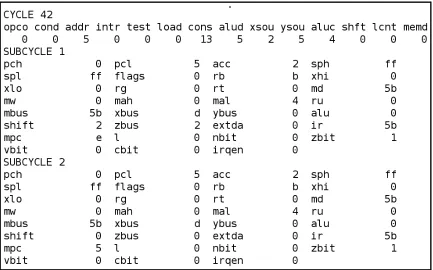 Figure 3.1: Sample AMISS Output for a Single Cycle