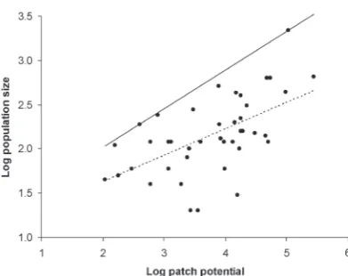 Figure 2. Temporal dynamics of a P. plagianthi subpopulation(shaded area), with exponential spring increase (solid lines: in1999, log N = 0.90 + 0.024t, R2 = 0.97; in 2000, log N = 1.63+ 0.015t, R2 = 0.99, where t is time in days), and estimatedcarrying capacity fitted by inspection (dotted lines).